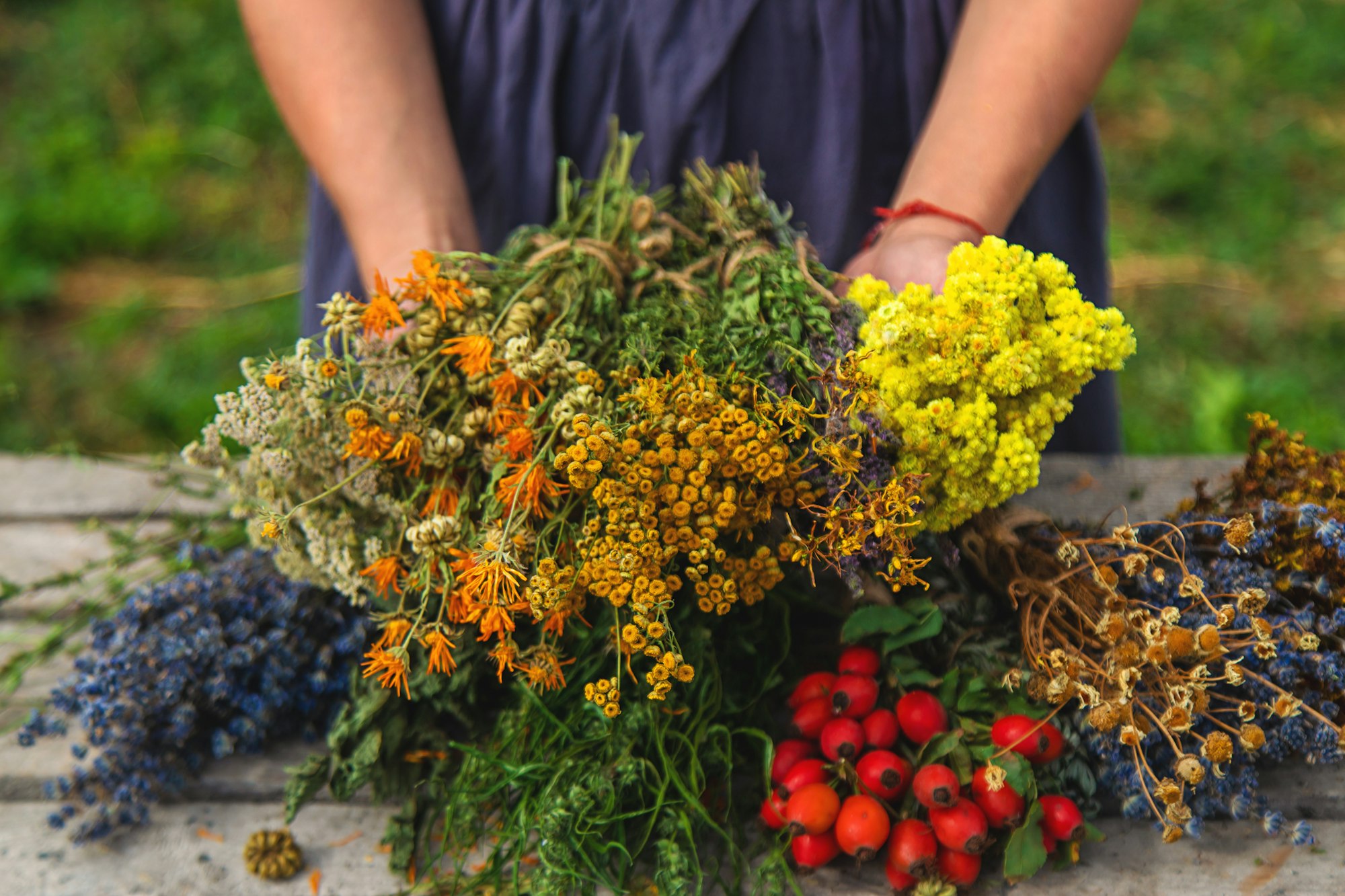 A woman holds medicinal herbs in her hands. Selective focus.