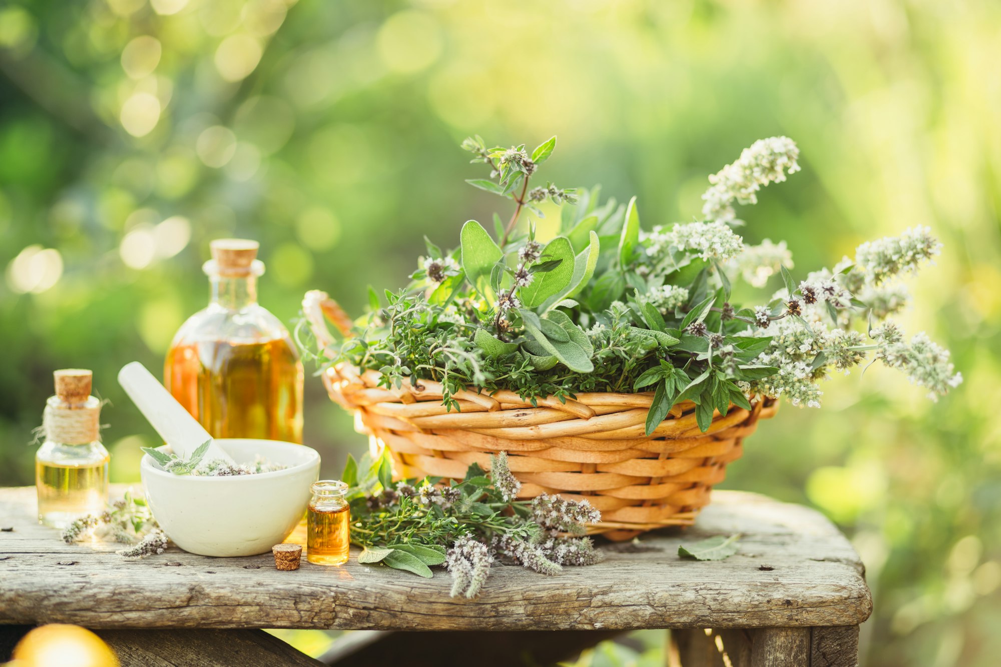 Medicinal plants in the basket